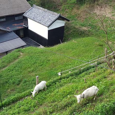 Asobi Lodge 교탄고 외부 사진