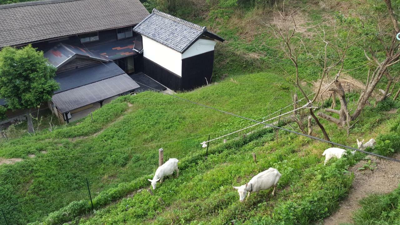 Asobi Lodge 교탄고 외부 사진